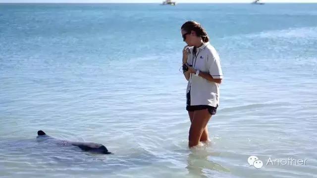 在澳洲租房车,租房车在澳洲