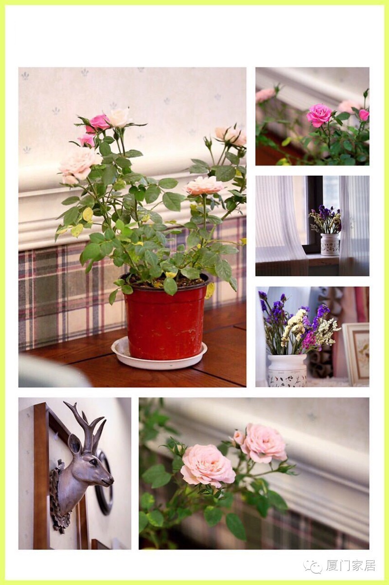 厦门禹州尊海,禹洲尊海86平装修