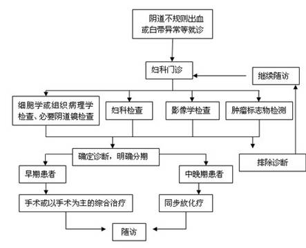 咚咚肿瘤科重磅推荐：宫颈癌临床诊疗思路与治疗总结