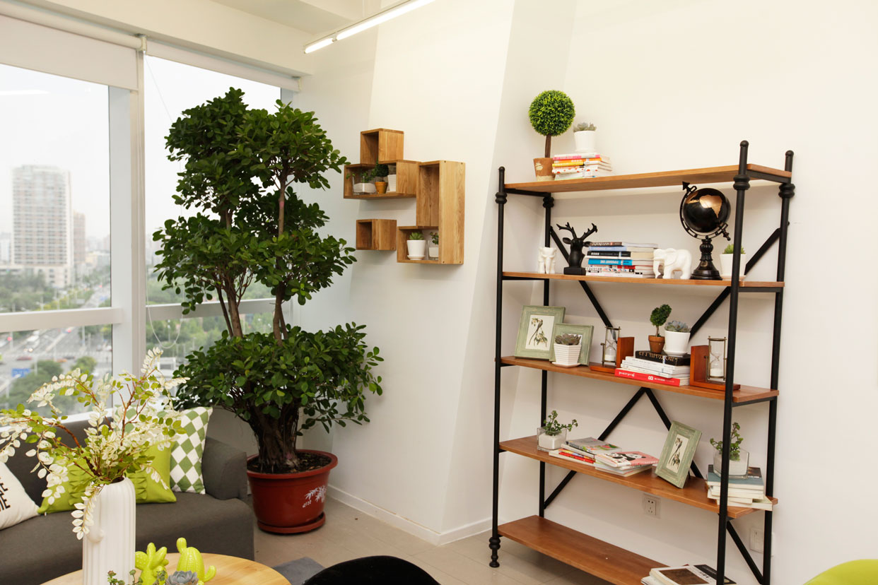 明星豪宅改造,网红办公室改造样板间