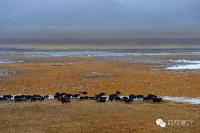 川藏南线进藏十天旅游线路,川藏南线进藏行程