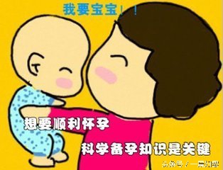 准备要宝宝的女人,准备要宝宝的妈妈们前期怎么调理