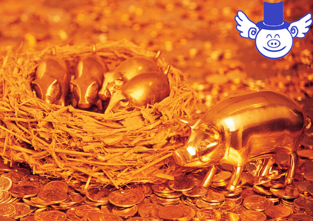 养猪多赚钱,养猪投入20万一年能赚多少钱