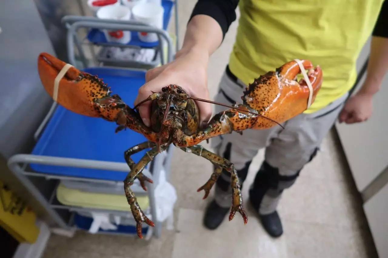 爱德华王子岛天气预报,爱德华王子岛安妮小屋