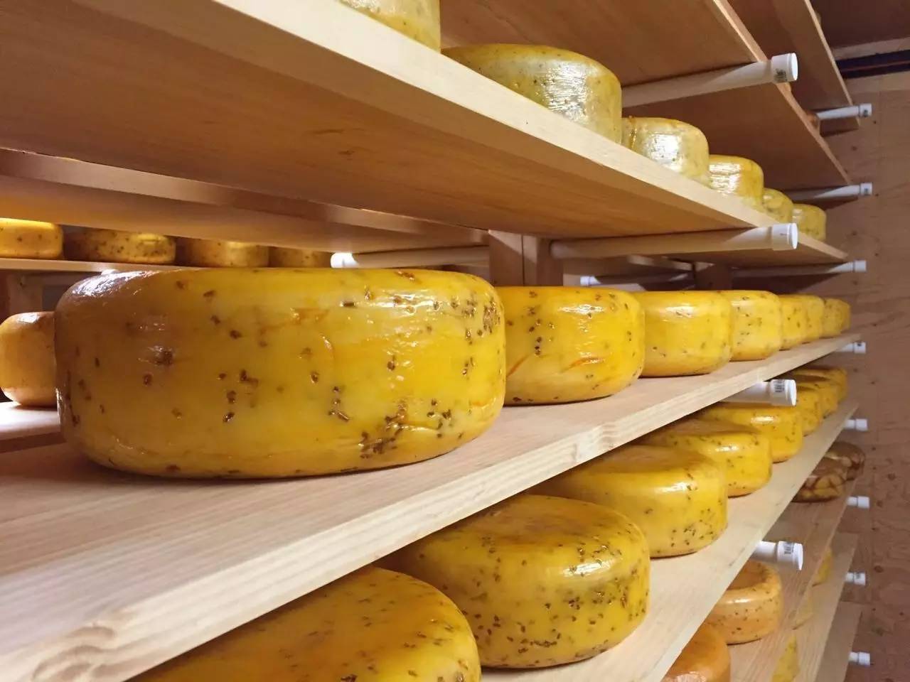 爱德华王子岛天气预报,爱德华王子岛安妮小屋