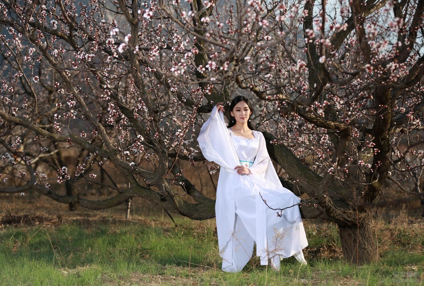 不是爱风尘，她虽是官妓，却也是铮铮铁骨的才女