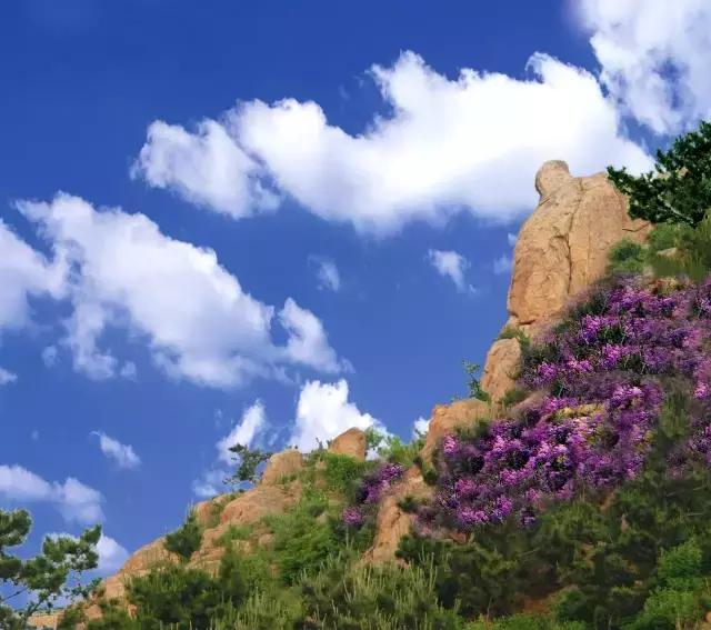 青岛市100个美丽乡村名单,青岛市市级美丽乡村名单