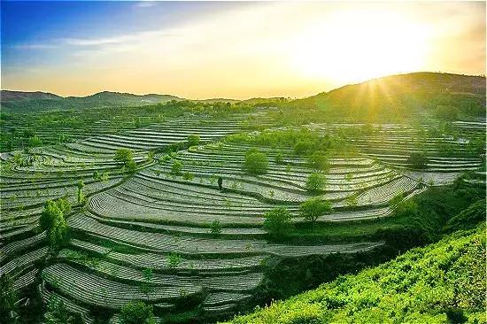 陕西省所有县名,陕西全部县名