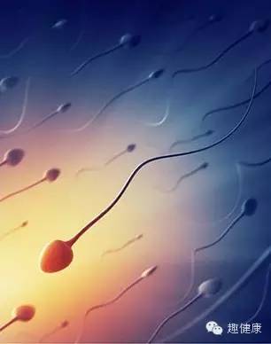 伊能静谈备孕难,伊能静自述备孕二胎经历