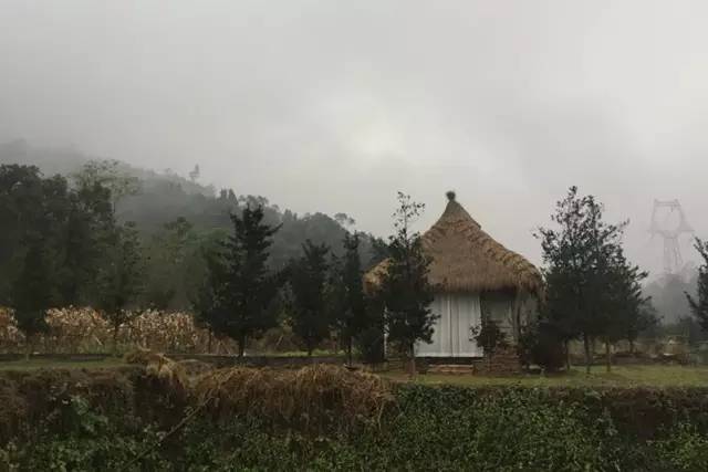 东南第一山私藏浙南最美的风情,浙江山林美宿攻略