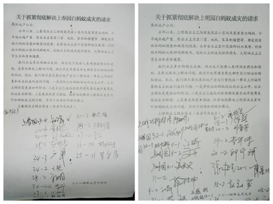 上河城白蚁成灾联名上书谁来管？春夏之际白蚁防治刻不容缓