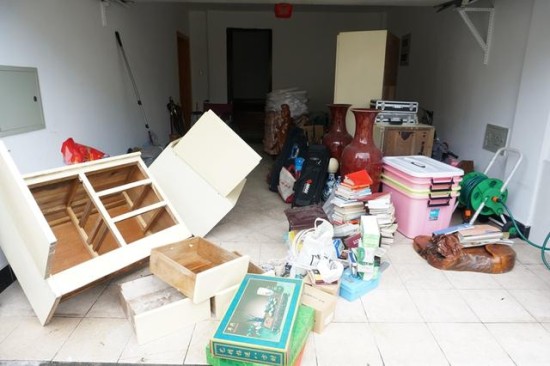 上河城白蚁成灾联名上书谁来管？春夏之际白蚁防治刻不容缓