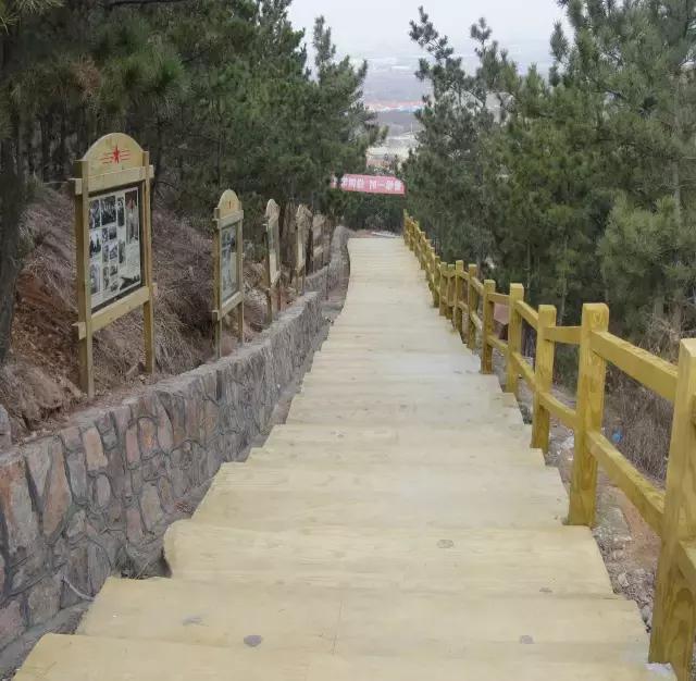 青岛市100个美丽乡村名单,青岛市市级美丽乡村名单