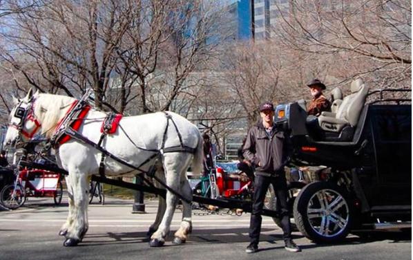 为了省油而买车,为了省油买了个日本车