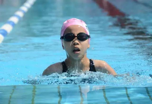 2019浩沙杯青少年游泳冠军赛,第六届厦金青少年游泳大赛