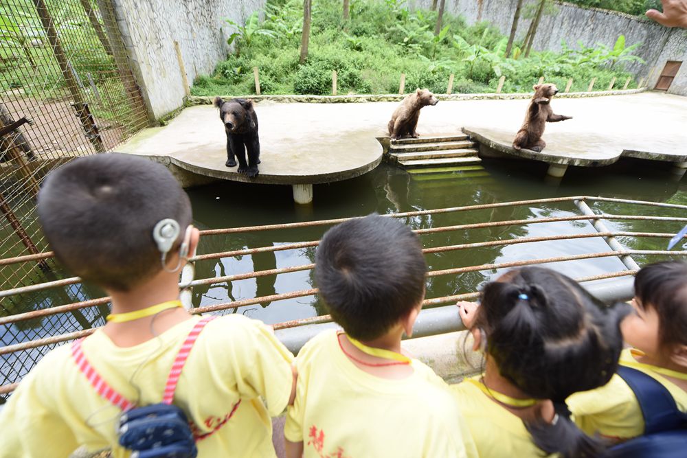 50名耳障儿童游贵阳野生动物园边看动物边学发音