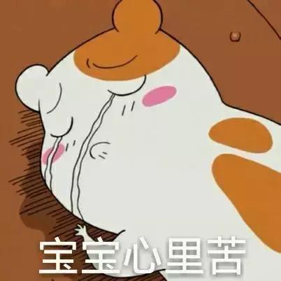 各驾校合格率排名出炉,交管平台不显示驾校合格率