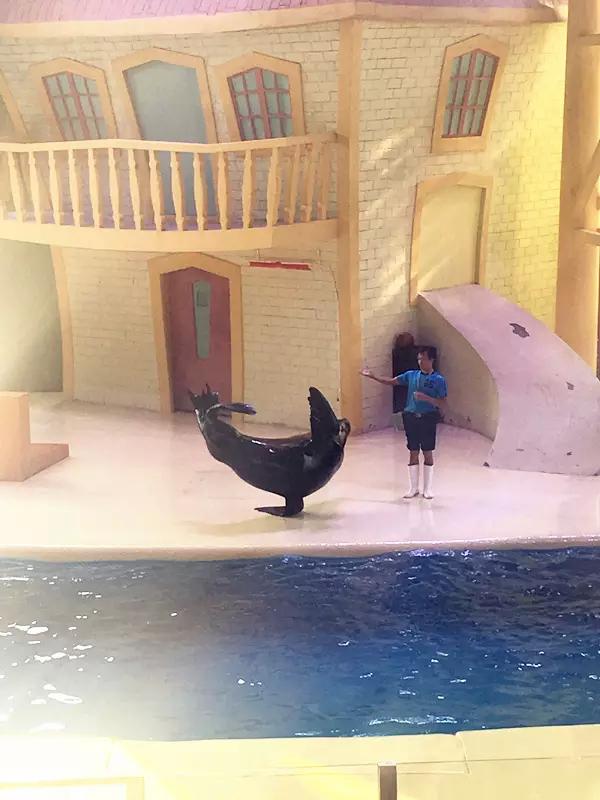 珠海长隆海洋王国一日一夜游攻略,珠海长隆海洋王国攻略两天一夜