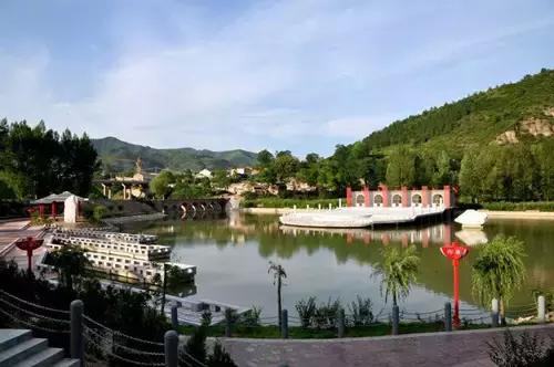 樟木为什么容易变形,樟木发展规划