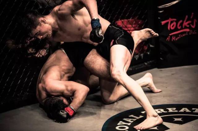 草原“驯兽师”能否降服韩国“*力暴**鼠”？