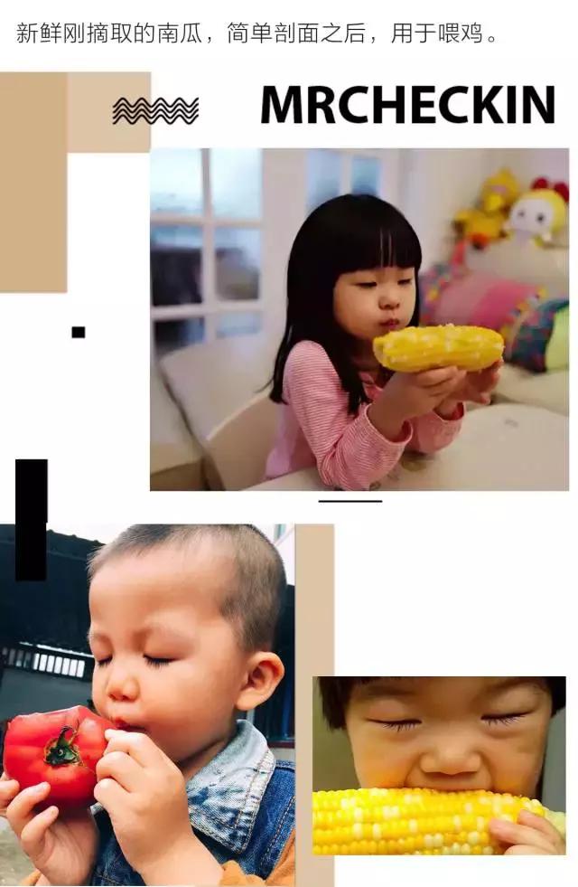 大概认识这个男人后，所有人都想做一只鸡。