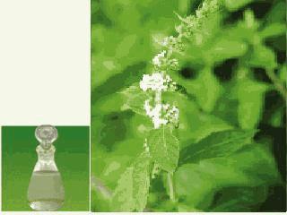 家中有这些药物吗?快放到冰箱里吧!