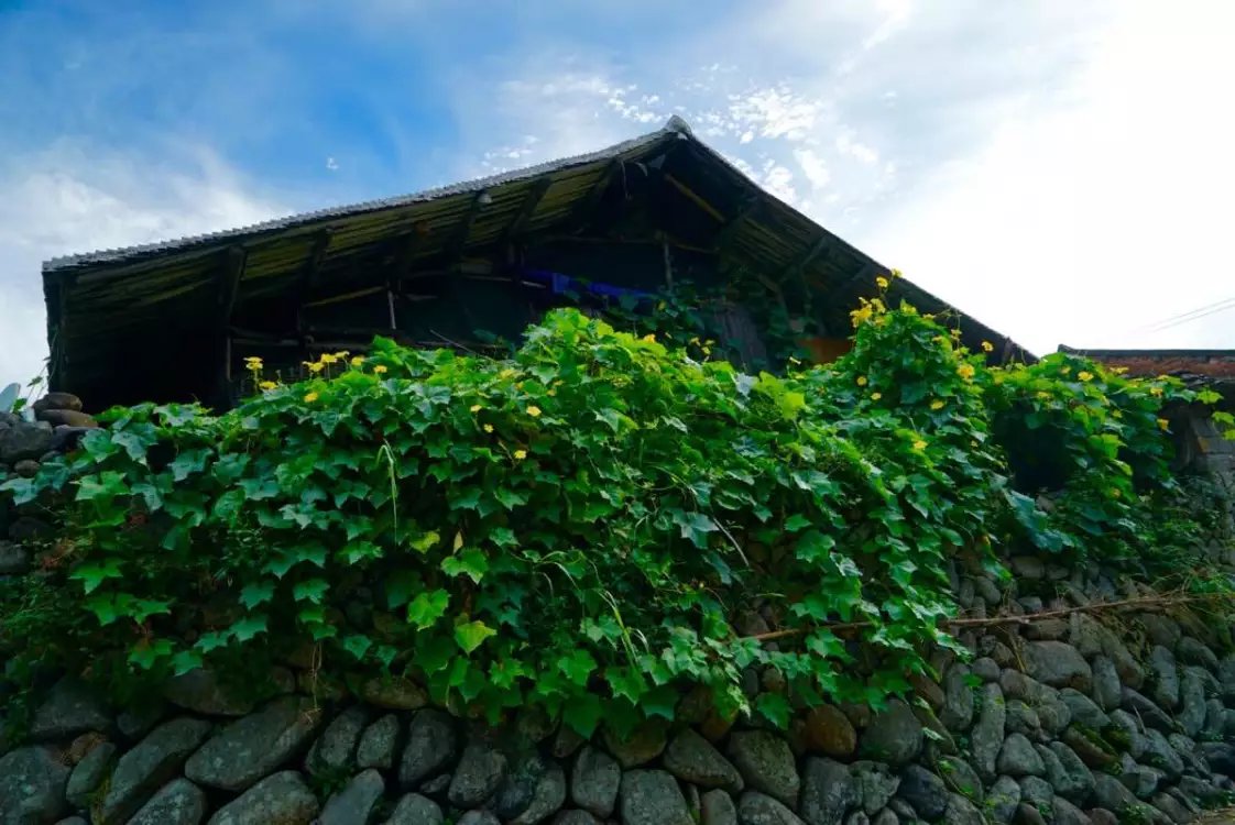 温州三八妇女节好玩的地方,温州三八节活动