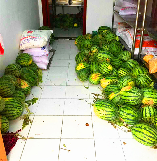 微感动|老乡送来最甜的瓜：念及当初救助情，连年送瓜表谢意