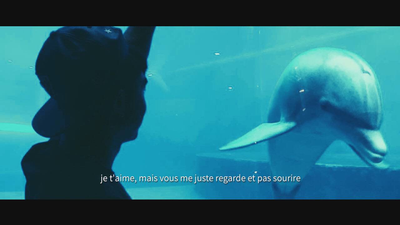 水母死后会变成水不留痕迹,水母死后真的会变成一滩水吗