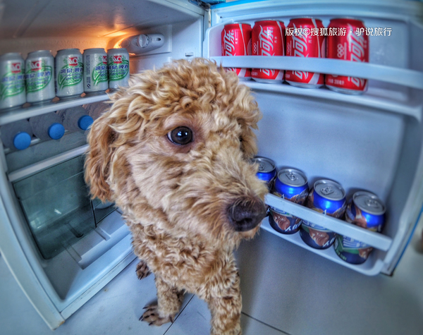 国内绝美海岛北海涠洲岛,中国十大最美海岛涠洲岛