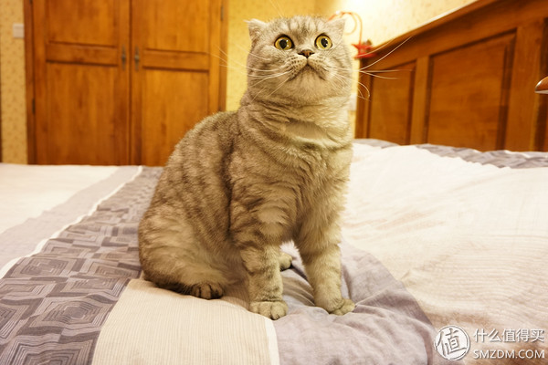 我的房子80平怎么装成200平,88平米厨房装修改造翻新视频