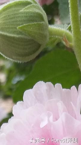 三星盖乐世c7如何使用bixby,三星盖乐世7参数表