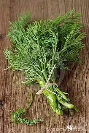 西餐里的那些“杂草”都是啥?一篇文章带你认识香草