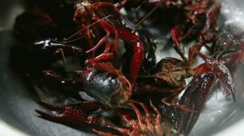 十二个时辰，三十九道工序，西安这家的秘制吮指虾好吃到没朋友