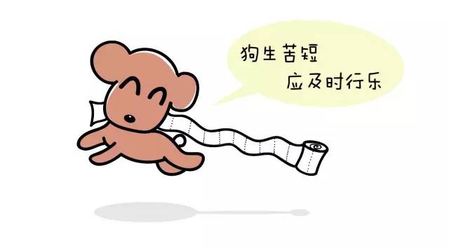 狗狗艾米搞破坏,狗狗为什么在家里搞破坏