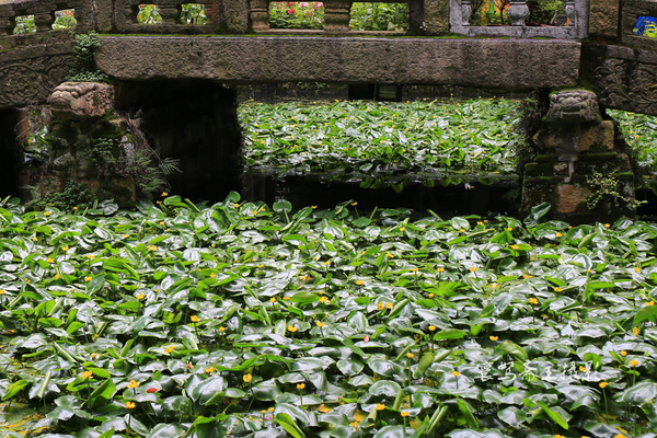 惠山古镇江南第一山介绍,江南第一古镇梅里古镇夜景
