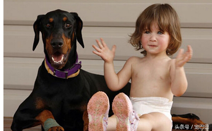 狗狗突然拽着主人往回跑,宠物狗扑倒小孩吓哭