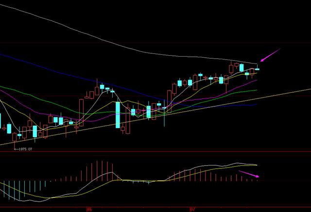股市女神今日策略,股市女神中文分析