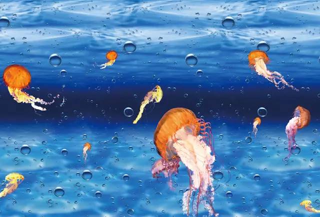 甯曞姵缇庢櫙娓歌,瑗垮お骞虫磱甯曞姵浜洪棿浠欏