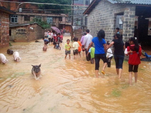 遇到暴雨来临,我们该怎么办?