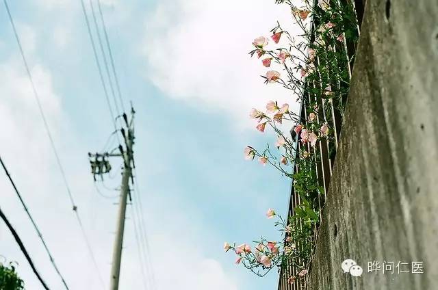 蔡永国|最想治好病的是医生