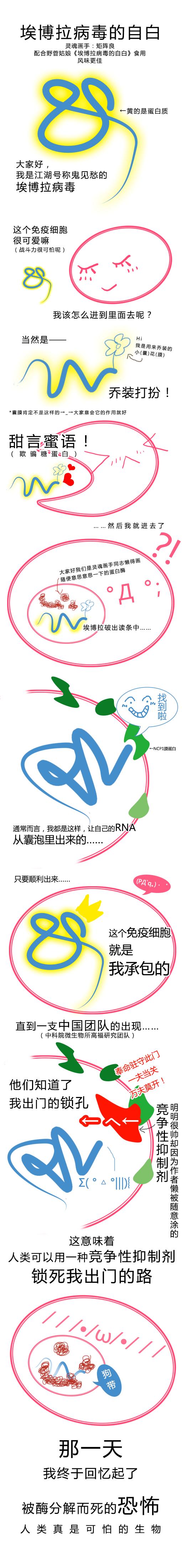 埃博拉病毒为什么有人能生存,埃博拉病毒白人