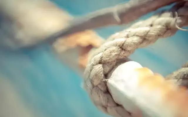 三毛说当你学会了装傻,三毛说球公众号