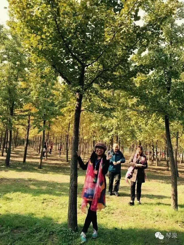 三毛说当你学会了装傻,三毛说球公众号