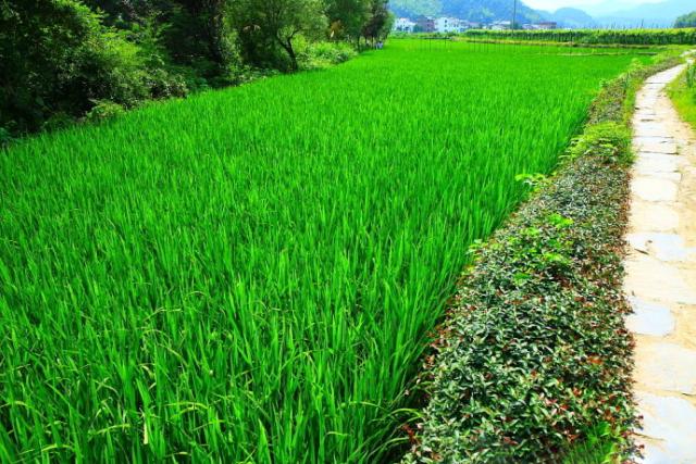 亲子时光慢生活,慢生活亲子