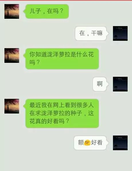 笑话段子小明滚出去,小明滚出去的笑话