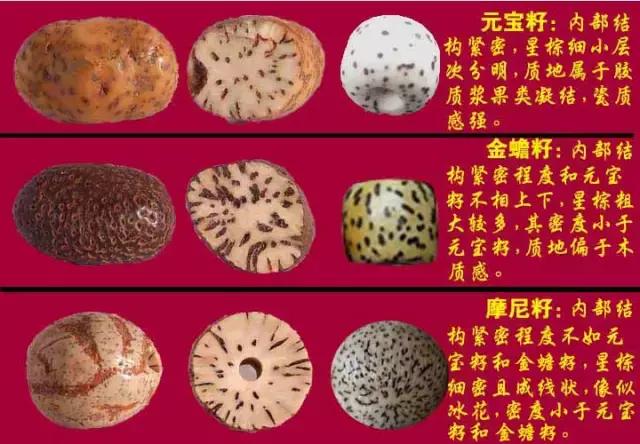 金蟾莲花菩提子手串,无工具盘金蟾菩提子