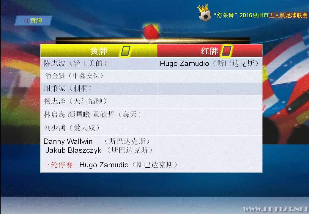 舒莱狮海西杯全国足球邀请赛,舒莱狮足球赛