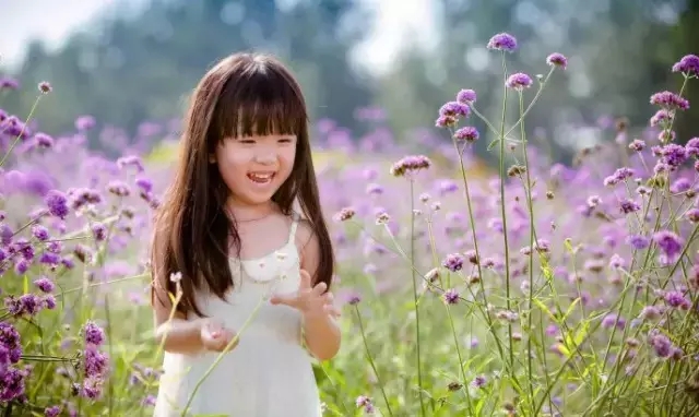 婺源市亲子游,江西婺源暑期亲子游