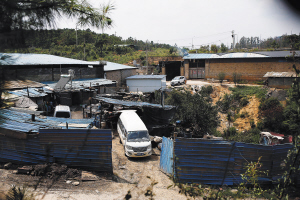 地沟油死亡案,地沟油打捞事件